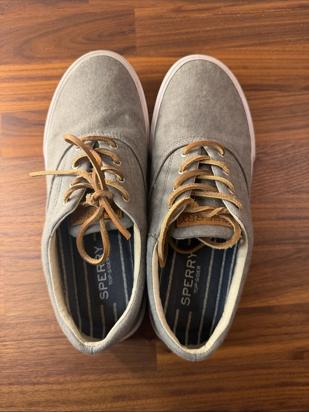 Sperry casual canvas
